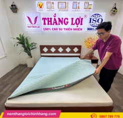 Nệm điều hòa Thắng Lợi Vitamin Cool