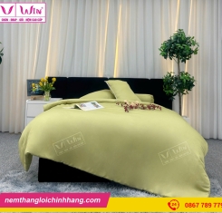Bộ  Drap - Lụa Tencel 4 món ( màu trơn )