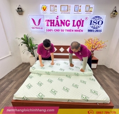 Nệm cao su thiên nhiên Super Win Thắng Lợi