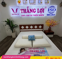 BỘ GỐI CAO SU FOAM THẮNG LỢI ( 2 NẰM + 1 ÔM)