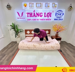 Nệm Super Win Foam ( Win Thắng Lợi )