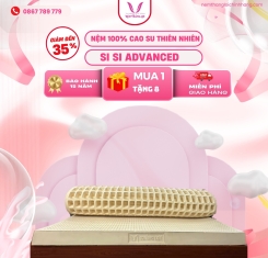 Nệm cao su thiên nhiên Thắng Lợi SiSi Advanced