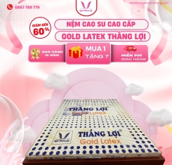 Nệm cao su Thắng Lợi Gold Latex 