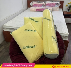 BỘ GỐI CAO SU NON THẮNG LỢI ( 2 NẰM + 1 ÔM )