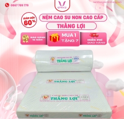 Nệm cao su non cao cấp Thắng Lợi
