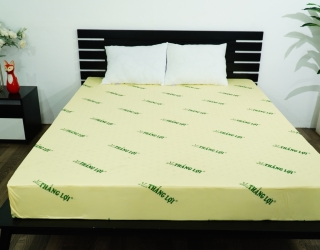 Nệm Thắng Lợi - Giá Gốc Tận Kho - Mua Nệm Thắng Lợi Chỉ Với 1.350.000 VNĐ