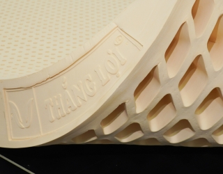 Nệm Thắng Lợi – Hot Nhất Trong 5 Năm Qua, Phủ Sóng Thị Trường Việt Nam