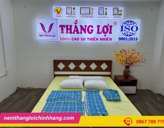 Nệm Cao Su Non Là Gì? Tìm Hiểu Chi Tiết Cùng Nệm Thắng Lợi Chính Hãng