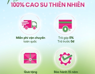So sánh nệm cao su thiên nhiên 100% Thắng Lợi với các dòng nệm khác