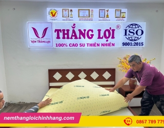 Nệm Cao Su Non Thắng Lợi sản phẩm bán chạy nhất năm 2025