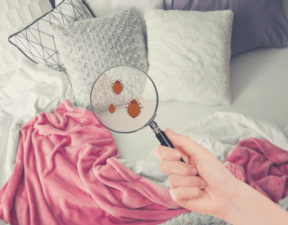 Nệm cũ tích tụ vi khuẩn, nấm mốc ảnh hưởng đến sức khỏe – Nhanh tay đổi ngay nệm mới!