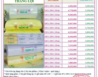 NỆM CAO SU NON CAO CẤP THẮNG LỢI – CHIẾT KHẤU SỐC 55%, MUA NGAY KẺO LỠ!