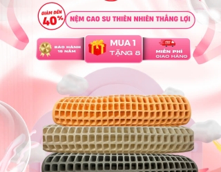 5 lý do nên chọn nệm cao su thiên nhiên 100% Thắng Lợi cho gia đình