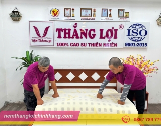 Các sản phẩm Nệm Thắng Lợi được đánh giá cao 
