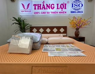 Nệm Cao Su Thiên Nhiên Thắng Lợi SuSu Original – Giải Pháp Hỗ Trợ Cột Sống