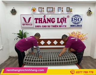 Nệm Cao Su Thiên Nhiên BoBo Than Hoạt Tính Thắng Lợi Có Tốt Không?
