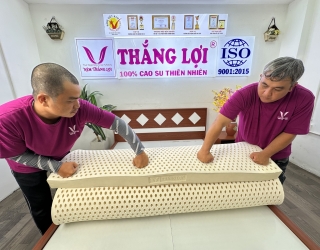 Top 5 mẫu nệm cao su Thắng Lợi được ưu chuộng nhất năm nay