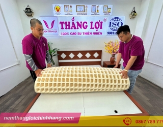 Top 5 dòng nệm Thắng Lợi HOT nhất năm 2025