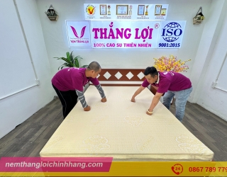 Nệm Cao Su Thiên Nhiên SiSi Advanced Thắng Lợi Có Gì Nổi Bật?