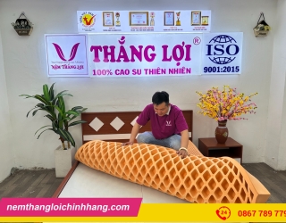 Mua nệm cao su thiên nhiên Thắng Lợi ở đâu uy tín?