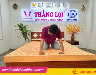 Nệm Thắng Lợi có tốt không? Có nên mua nệm Thắng Lợi hay không?