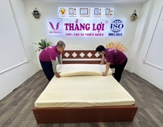 Top 3 dòng nệm nâng đỡ vùng lưng hiệu quả