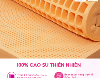Lợi Ích Thực Sự Về Sức Khỏe Giấc Ngủ Khi Sử Dụng Nệm Cao Su Thiên Nhiên