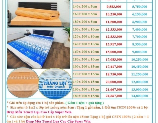 NỆM CAO SU THIÊN NHIÊN THẮNG LỢI SUSU ORIGINAL – CHIẾT KHẤU LÊN ĐẾN 40%